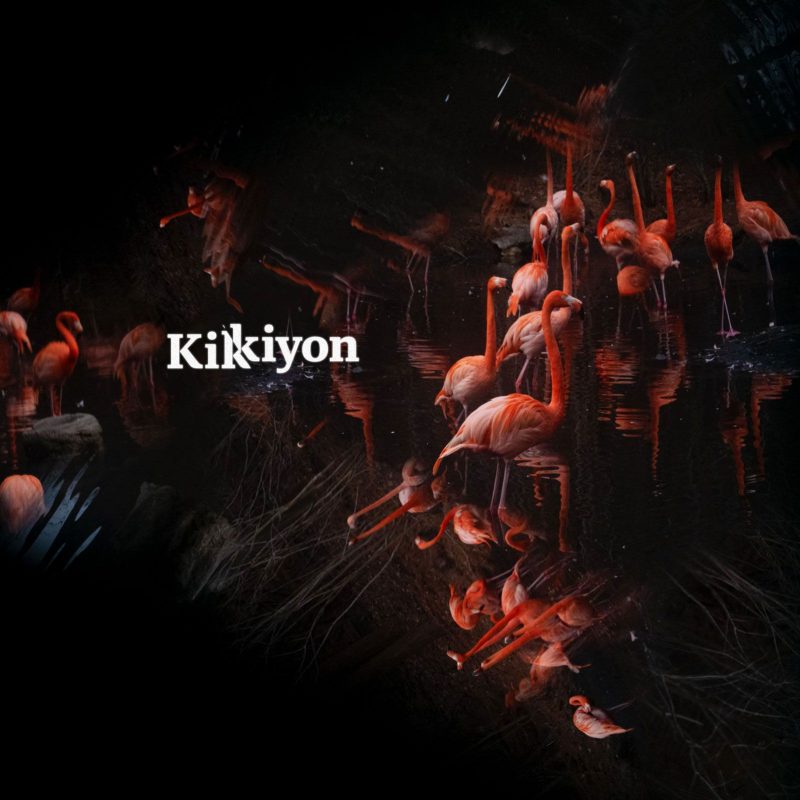 “Kikiyon” : L’Hymne de Gooseberry à l’Identité et à la Communauté