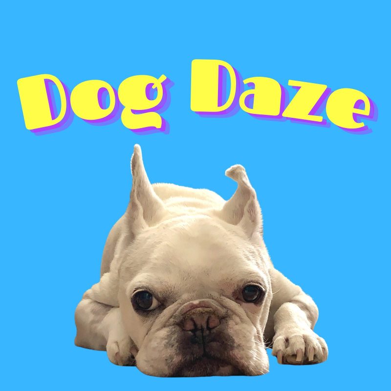 SORRY IT’S OVER impressionne avec « Dog Daze »